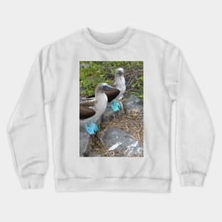 Though we be blue-footed Crewneck Sweatshirt